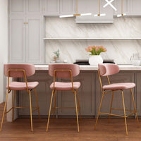 Kylie Modern Blush Velvet Barstool with Gold Legs Set of 2