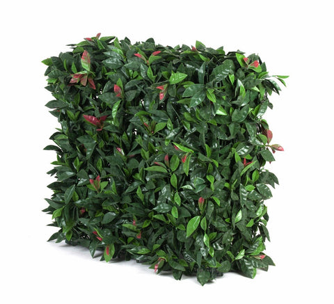 Portable UV Artificial Hedge Plant Photinia 75cm X 75cm