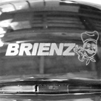 Brienz Stainless Steel Auto Sensor Bin - 30L