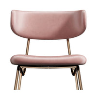 Kylie Modern Blush Dining Chair with Gold Legs Set of 2